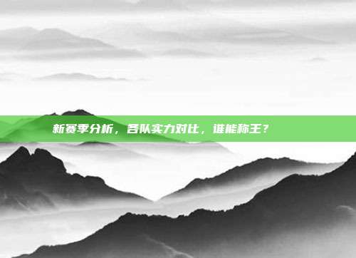 新赛季分析，各队实力对比，谁能称王？ 📊