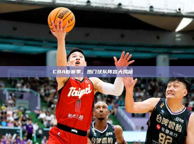 CBA新赛季，热门球队阵容大揭秘🏀