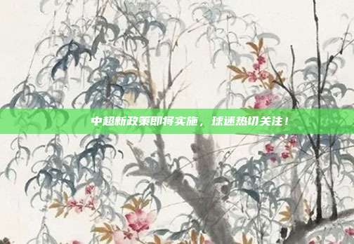 🔔中超新政策即将实施，球迷热切关注！